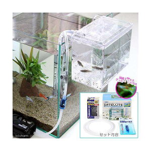 iMыjO|Y{bNX@TeCg@X^[^[Zbg@Y~bNXObs[@1yA@t@{Bl