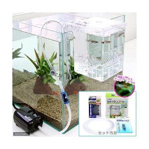 iMыjO|Y{bNX@TeCgS@X^[^[Zbg@Y~bNXObs[@1yA@t@{Bl