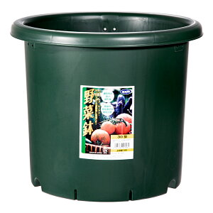 AbvEFA[@ؔ@30^@O[@ƒ؉@؉v^@֓