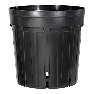 Xbg@JlYƁ@Xbgi[Z[@18cm@@֓