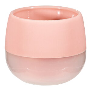 @g@rr@X[L[̔@R[sN@6×H5D3cm@nChJ`[@|bg@֓