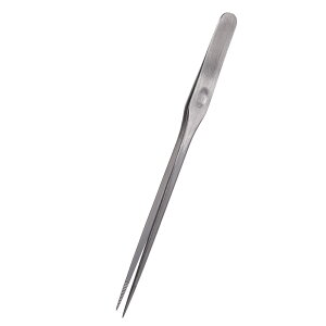 J~n^@ANAtBI[@AQUA@FIORE@pV[vsZbg@Z@18cm@֓