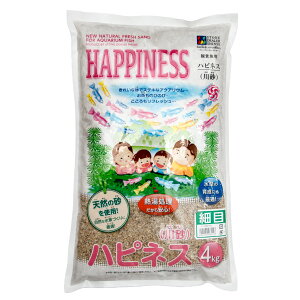 VZ[@nslX@זځ@4kg@֓