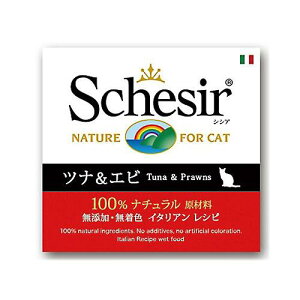 VVA@Lbg@ciGr@85g×14@ʋl@Lbgt[h@L@Lbgt[h@EFbg@֓