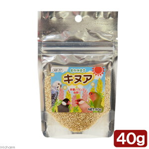 黒瀬ペットフード 自然派宣言 キヌア 40g 関東当日便