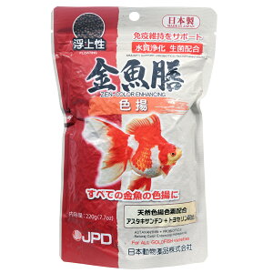 {i@j`hE@V@Fg@220g@̂@ƉuێT|[g@̉a@֓