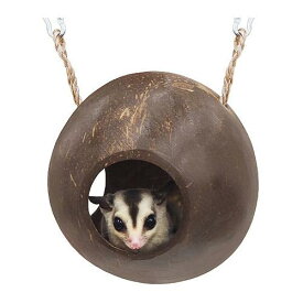 レインボー　ゆらゆらココナッツ　小動物　ハウス　関東当日便
