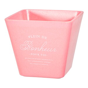 @ou[GR|bg@XNGA@sN@3pJo[@֓