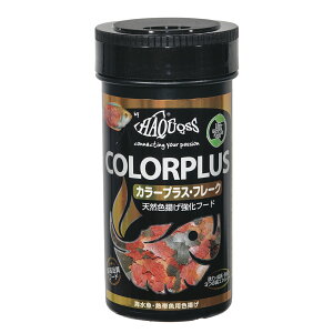 nRX@tBbVt[h@J[vXt[N@40g@VRFgt[h@Mы@a@֓