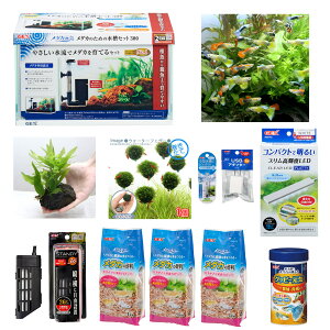 v^[@AbvEFA[@[AXNGA@260^@uE@Aؔ@XNGA@֓