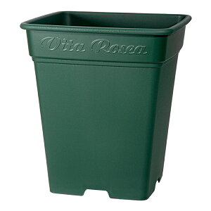 v^[@AbvEFA[@[AXNGA@330^@O[@Aؔ@XNGA@֓