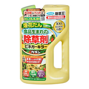 t}L[@J_@@rlK[L[@2L@Hi܂̏܁@֓