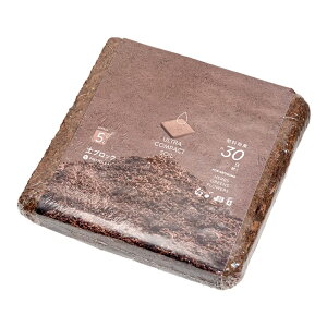 |{y@vg[t@yubN@5LTCY@đ傫Ȃ|{y@֓