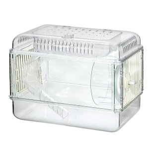 GEX@NAtg30@NX^@nX^[@P[W@@֓