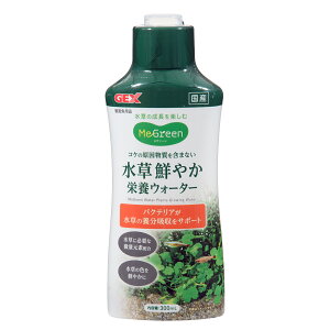 GEX@MeGreen@N₩h{EH[^[@300mL@K@ʌf@RP\h@֓