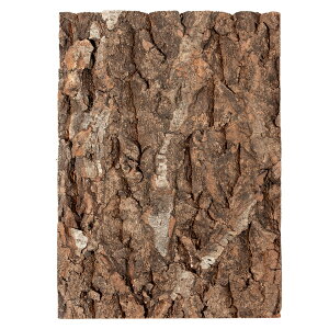 �e�����E���p�@�R���N�o�b�N�p�l���@W20×H30cm�����p�@�֓�������