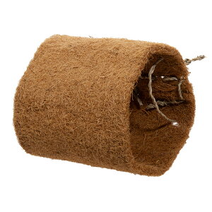 @Mقق@RRibcgl@180×180mm@@@Gb`g@֓