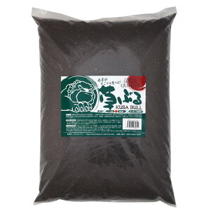 Ԃ@pE_[@8L@h{n\C@PH6@@A݁@@֓