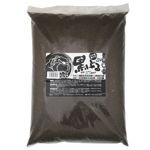 Ԃ@Ch@pE_[@8L@xh{n\C@@Vv@֓