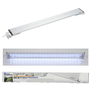 @LED@CgAbvWIDE@600@zCg@60cm@Ɩ@ANAE@֓