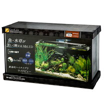 楽天市場】水槽台 60cm（ブランドコトブキ工芸）（水槽セット｜水槽 