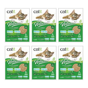 L@Catit@Ђ̂̏LoCIvX@7L×6@֓