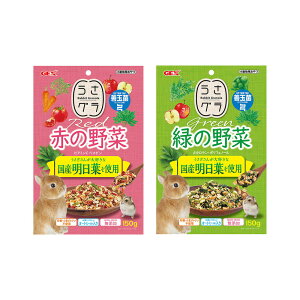 GEX@OV[Y@2e1܁@@t[h@@֓