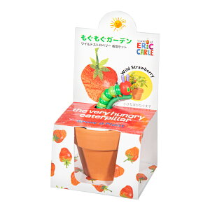 V|@͂؂ނ@K[f͔|Zbg@ChXgx[@ƒ؉@Mtg@֓