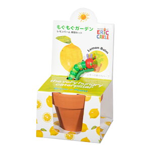 AEgbgi@V|@͂؂ނ@K[f͔|Zbg@o[@ƒ؉@Mtg@󂠂@֓