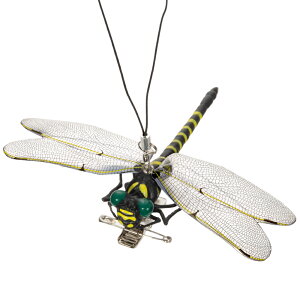 AEgbgi@VGŒ悯@Ij}@E܁Eܕsgp@󂠂@֓