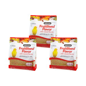 �Y�v���[���@�t���[�c�u�����h�@XS�@�J�i���A�E�t�C���`�p�@2lb�i��907g�j×3�@�֓�������