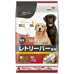 hbOt[h@C[X^[@EFPA@g[o[p@A_g@6kg@֓