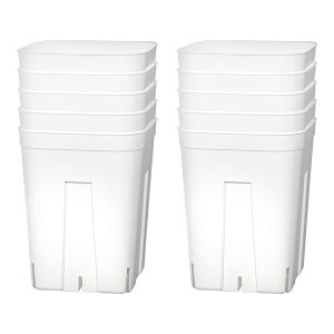 Xbg@vXe@150[^@@10Zbg@֓