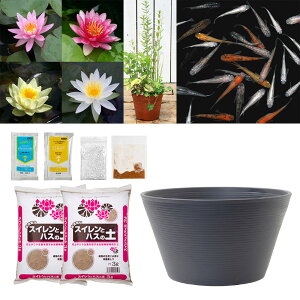 irIg[vji߂j_JtI`[߃rIg[vZbgI@@@XC@rIg[v@{Bl