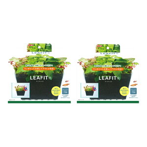 GEX@[tBbg@W×2@16×8×10D5cm@@}Olbg@Á@CAEg@ȒP@֓