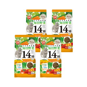 }J@̖14@VjA@p@1D6kg×4@t[h@@bg@``@fO[@֓