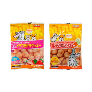 Xh[@тƃNbL[Zbg@2e1܁i10g×2j@@nX^[@@֓