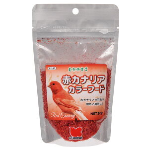 ybgt[h@Rh錾@ԃJiAJ[t[h@80g@F@Fێ@JiA@֓