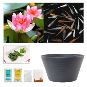 irIg[vji߂j_JtI`[߃rIg[vZbgI@CfBPEtQX@XC@rIg[v@{Bl