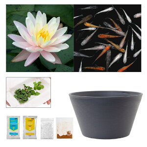 irIg[vji߂j_JtI`[߃rIg[vZbgI@o[o@hrX@XC@rIg[v@{Bl