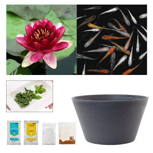 irIg[vji߂j_JtI`[߃rIg[vZbgI@I[XgEubN@XC@rIg[v@{Bl