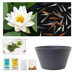 irIg[vji߂j_JtI`[߃rIg[vZbgI@|XgOo[O@XC@rIg[v@{Bl