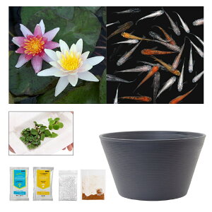 irIg[vji߂j_JtI`[߃rIg[vZbgI@|[nIbg@XC@rIg[v@{Bl