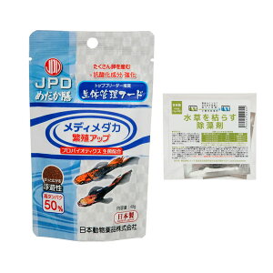 {i@j`hE@߂V@fB_J@ɐBAbv@40g͂炷܂@2g@֓