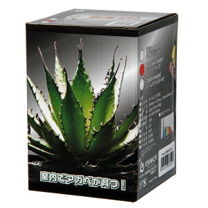 {NXWp@ʌ@X24@i[@Ra97@Cg@Ɩ@֓