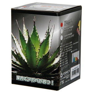 {NXWp@ʌ@X24@Ch@Ra97@Cg@Ɩ@֓