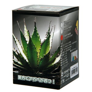 {NXWp@ʌ@X24@Y[@Ra97@Cg@Ɩ@֓