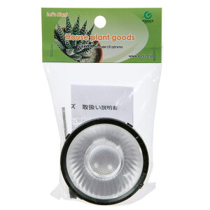 {NXWp@ʌ@X24@pY@~fBA@֓