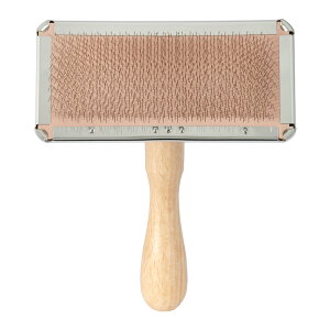 쐻쏊@ONS@vpXeXXbJ[\tgij@֓