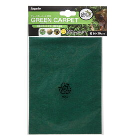 ジャイアンガーデン　グリーンカーペット2015　関東当日便